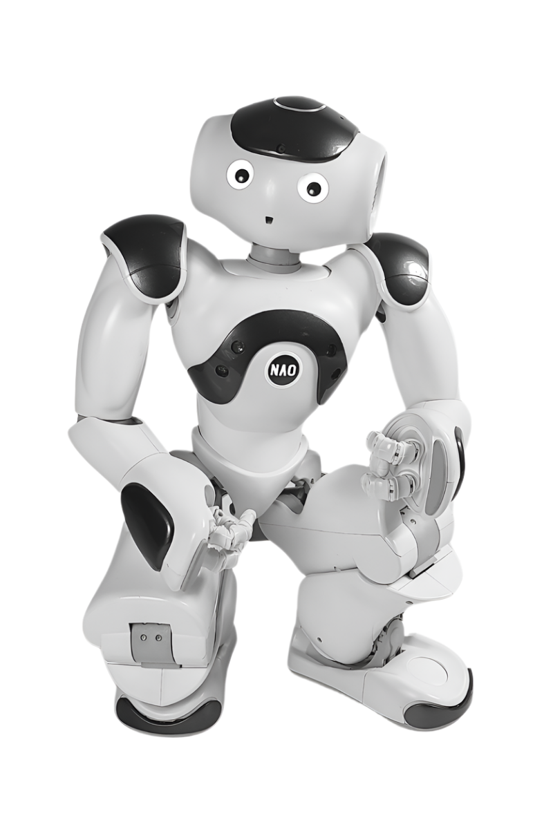 Nao