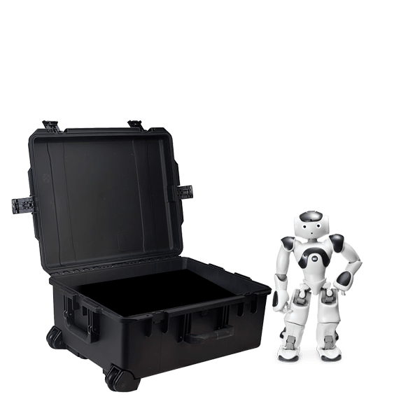 Nao - case transportowy