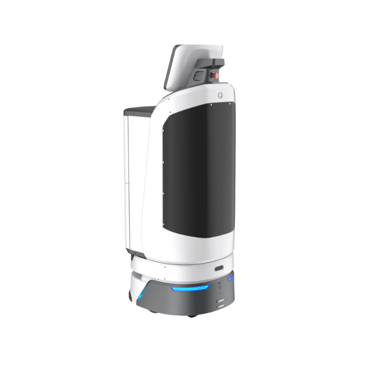 LuckiBot Pro AutoDoor