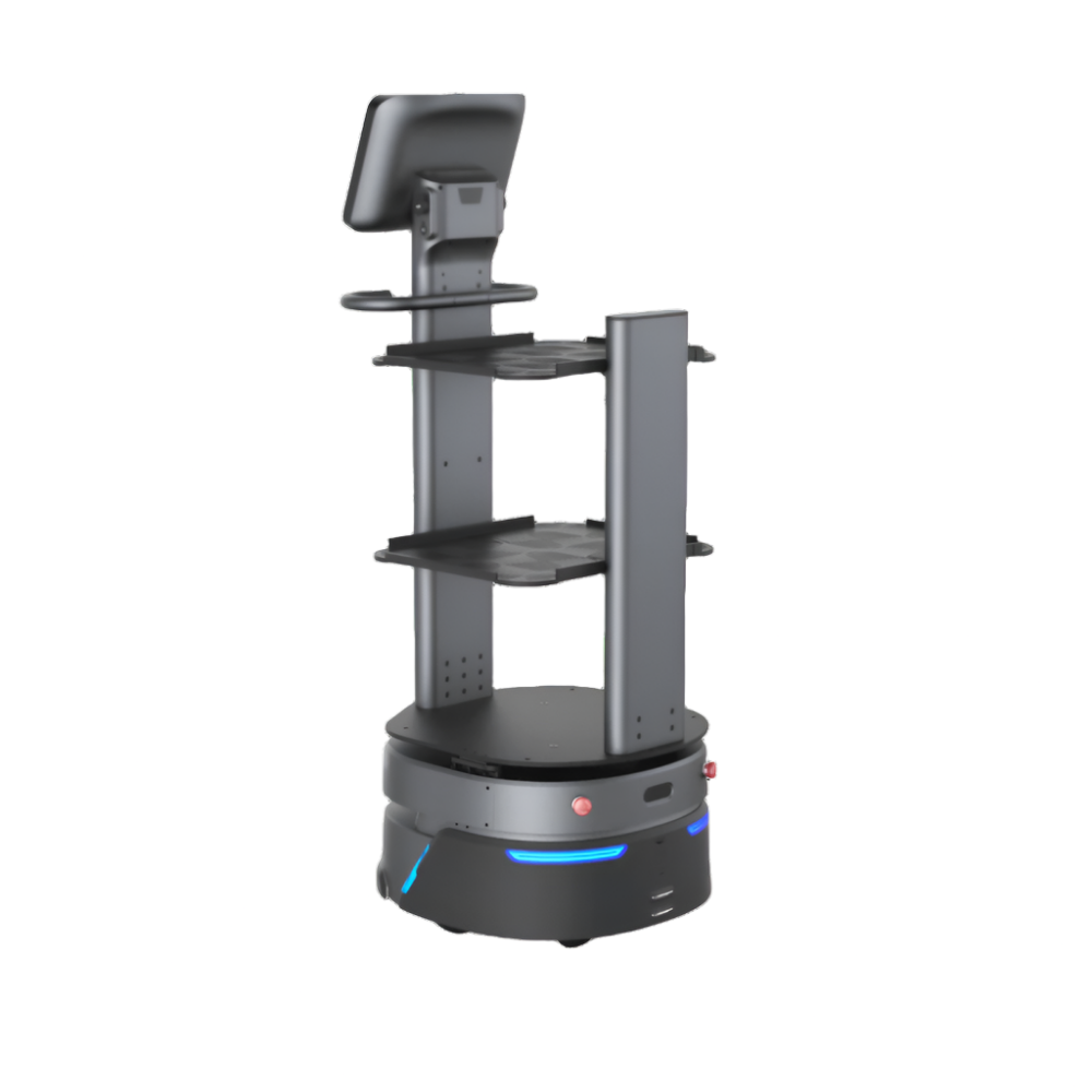 CarryBot 2