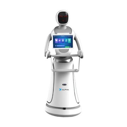 Agibot G2