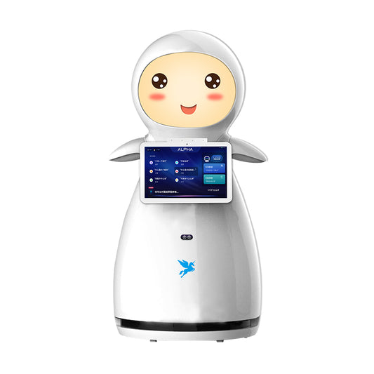 Agibot G2