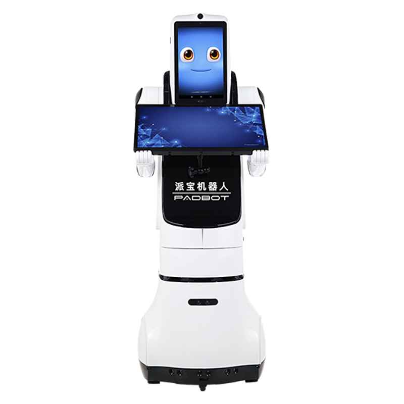 Agibot G2