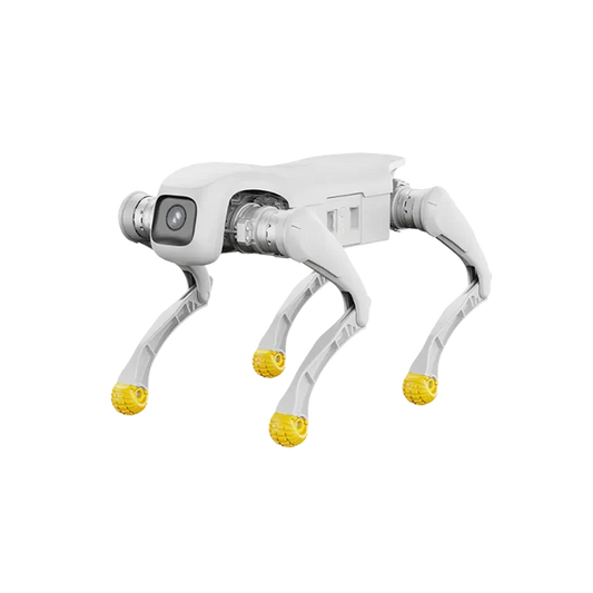 Agibot X2 Series
