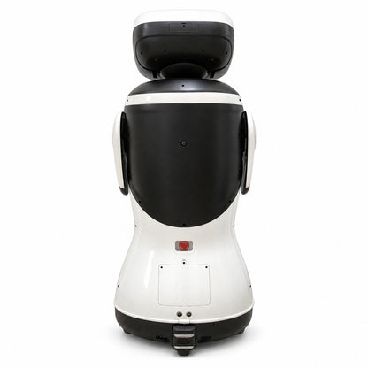 Padbot P3
