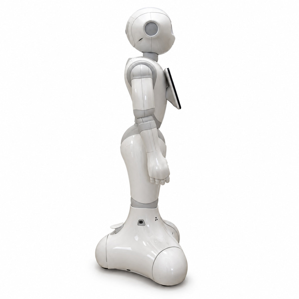 Pepper