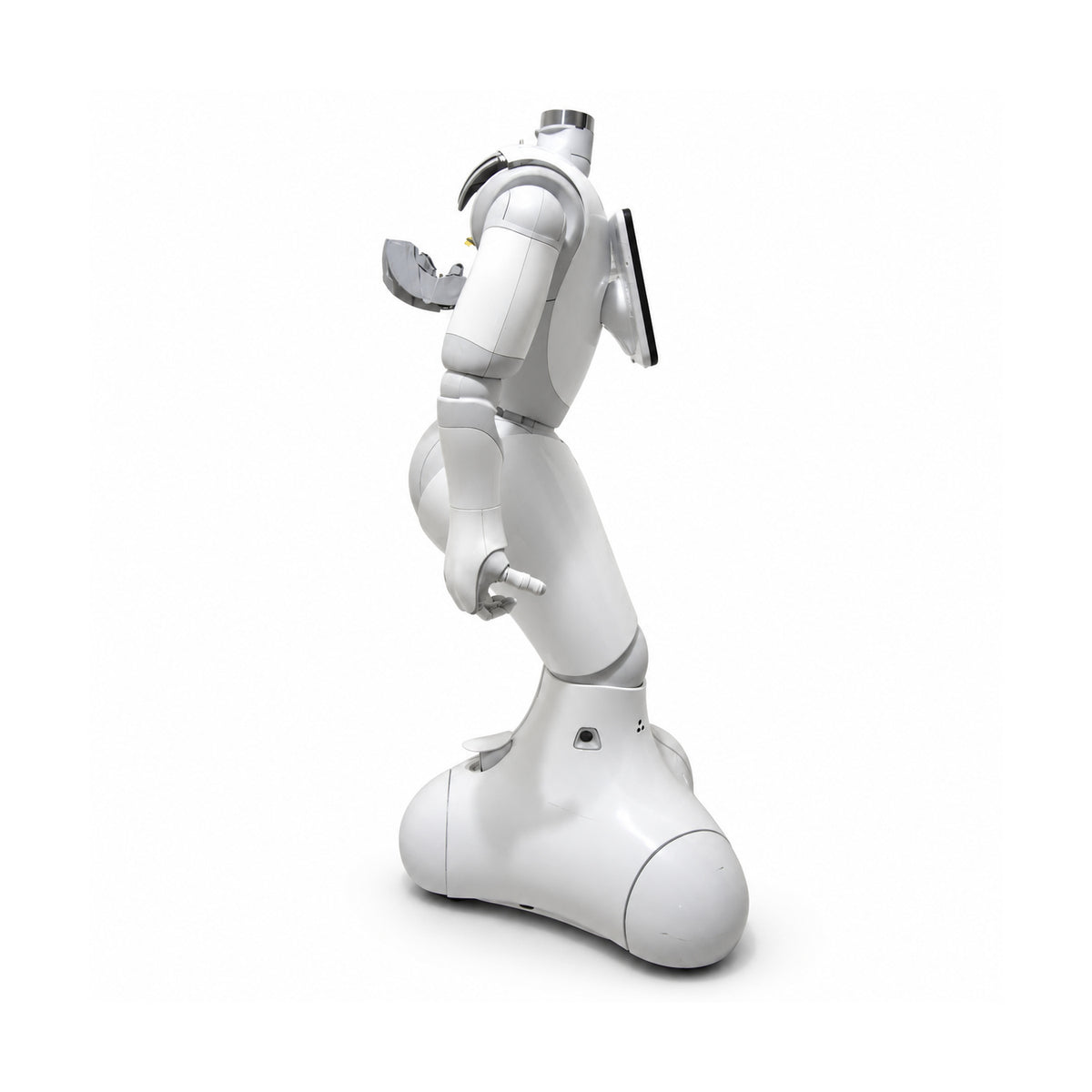 Pepper