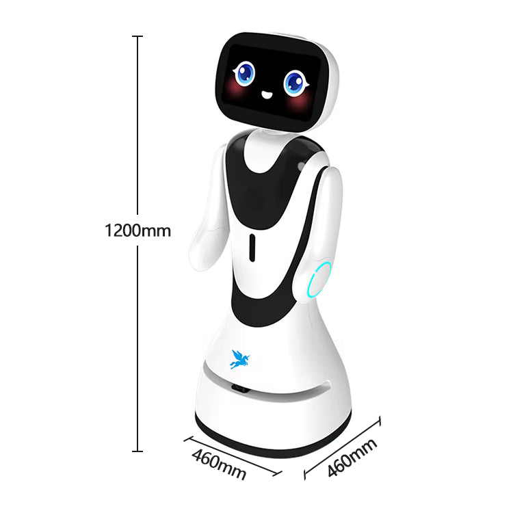 Agibot G2