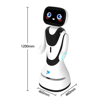 Agibot G2