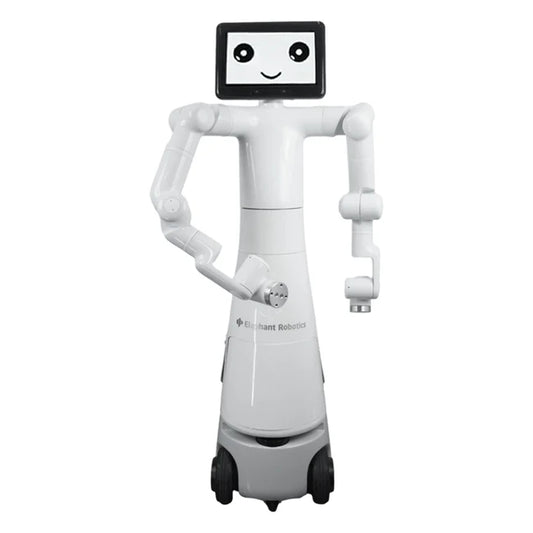 Elephant Mercury humanoid robots
