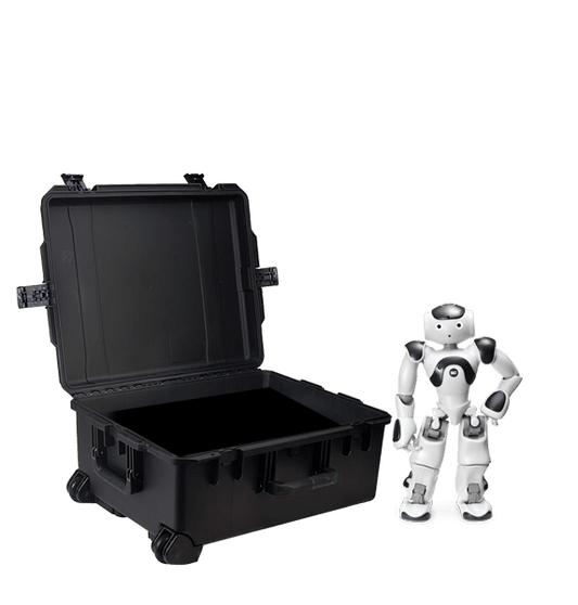 Nao - case transportowy
