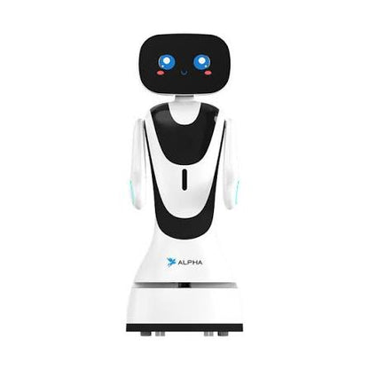 Agibot G2
