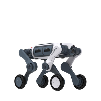 Deep Robotics M20