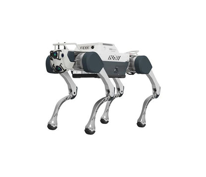 Deep Robotics M20