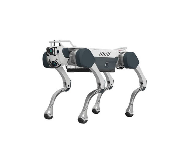 Deep Robotics M20