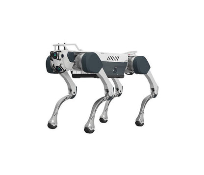 Deep Robotics M20