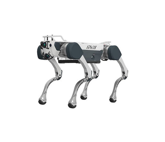 Deep Robotics M20
