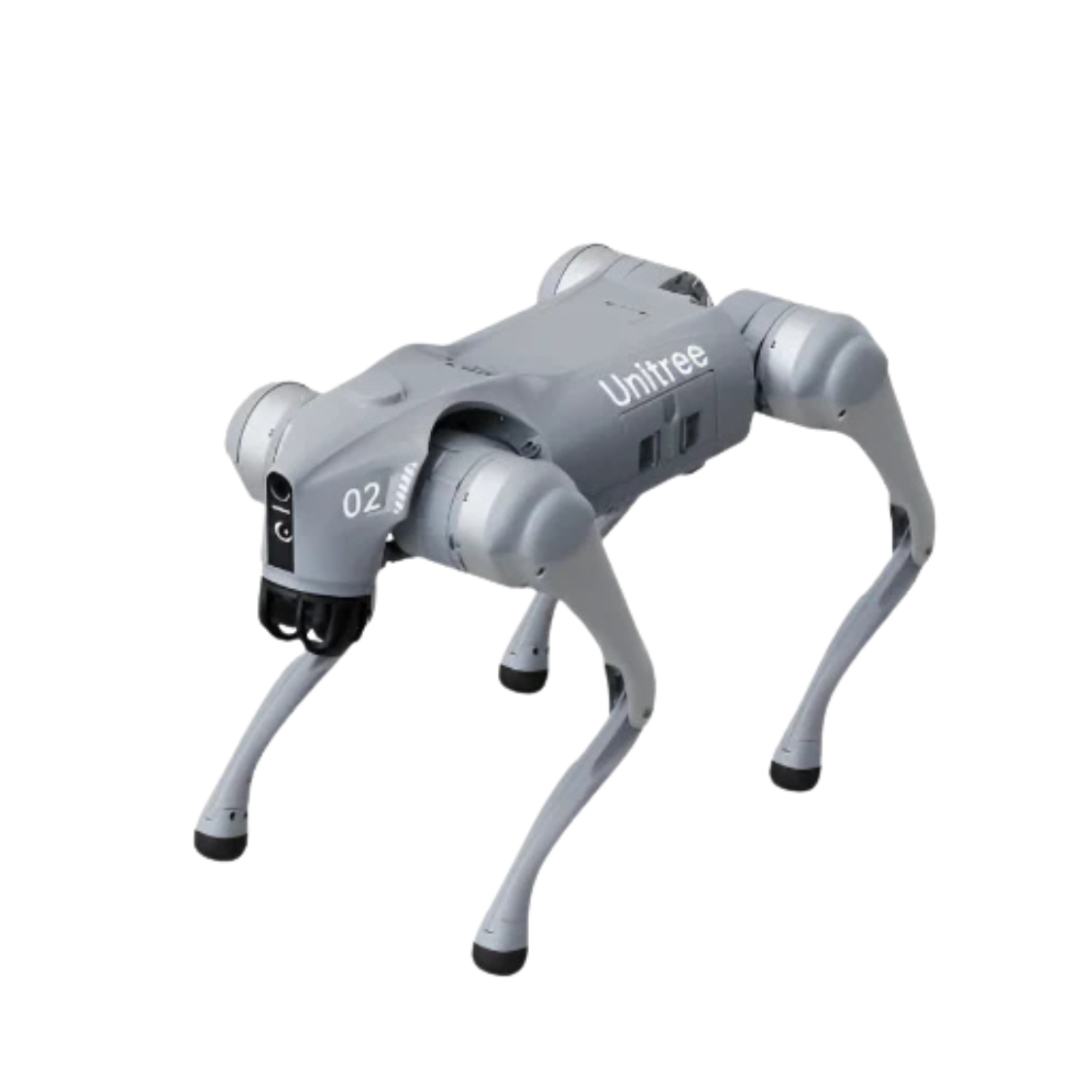 Unitree Go2