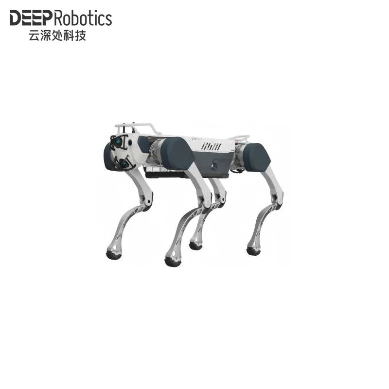 Deep Robotics M20